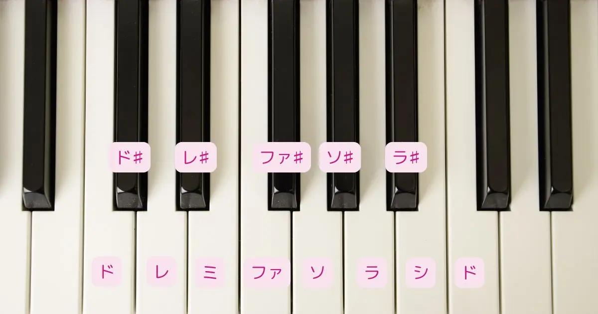 鍵盤